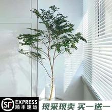 ИRRľƽˮr֦͏dkbGֲˌ