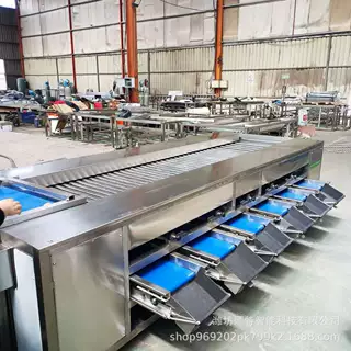 土豆滚杠式分选机 地瓜直径分级机 不锈钢材质 全自动沃柑分拣机