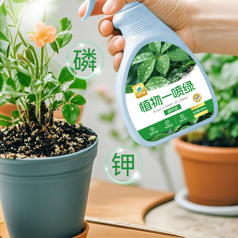 艾尚株植物一噴緑葉緑素通用型鉢植え緑植花卉栄養液緑羅発財樹多肉|undefined