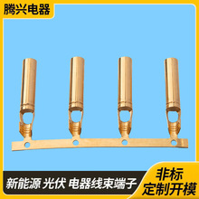 �S��ֱ�N����~�ܶ����p�T 4.0�A�ܶ���ע�ܹܠ����4.5�~�ܶ���