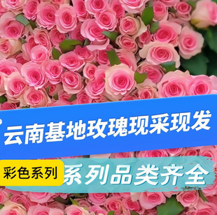 ����r����õ���r�л�����ֱ�������c�û������û���õ�ɫ�Rȫ