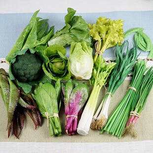 �����߲�ģ���[���İ������˺��m�������������[PVC���˹��ߔ[��