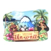 MZCT202: D type-Hawaii