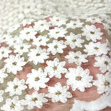���ʯ����С�r���ٽzţ�̽z�W����߅lace fabric