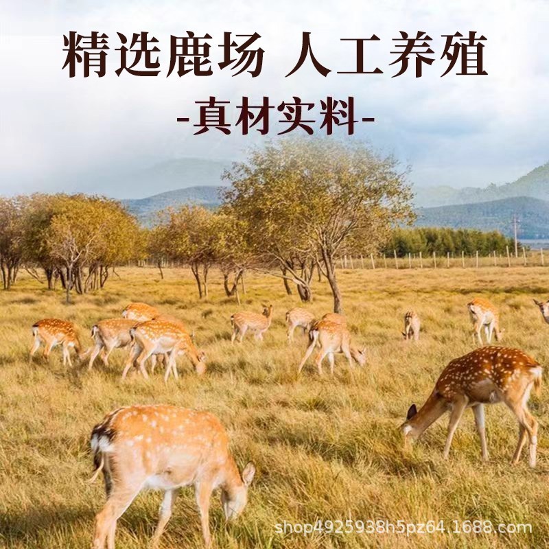 现货批发仙养鹿筋丸官方正品一展雄风养生食品鹿产品国药药材|undefined