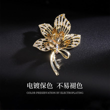 ɭϵ�ߙn�������Ůins�p�ݚ��|�ػ�ë�e���������������Ʒ