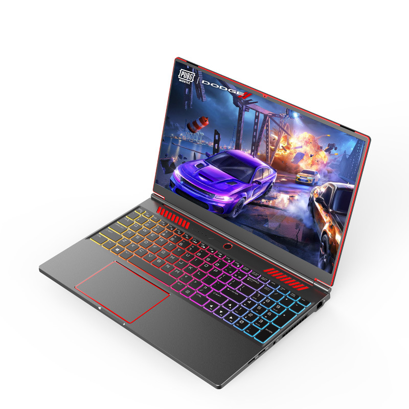 [i9-10885H] Show 4G Alone