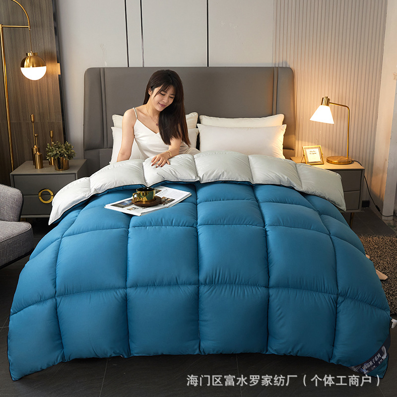 外贸家纺羽绒被春秋被芯冬被加厚保暖单双人学生被子冬季棉被