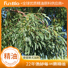 �F؛�M��ʷ��˹�ȼ����η��������l���Sʷ��˹�ȼ����η�����ԭ��