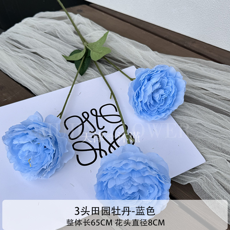 3두 황금모란