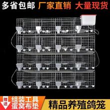 N\Ʒþ߼Ӵ\\ 34Bֳӻ\ֳ䌦\