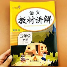 人教版五年级上册语文数学教材讲解课本同步知识点讲解分析全解书