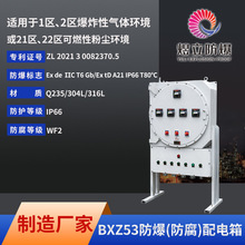 �S�Ҽӹ����ƹ��������BXZ53ϵ�з�������̼�ExdllC�����