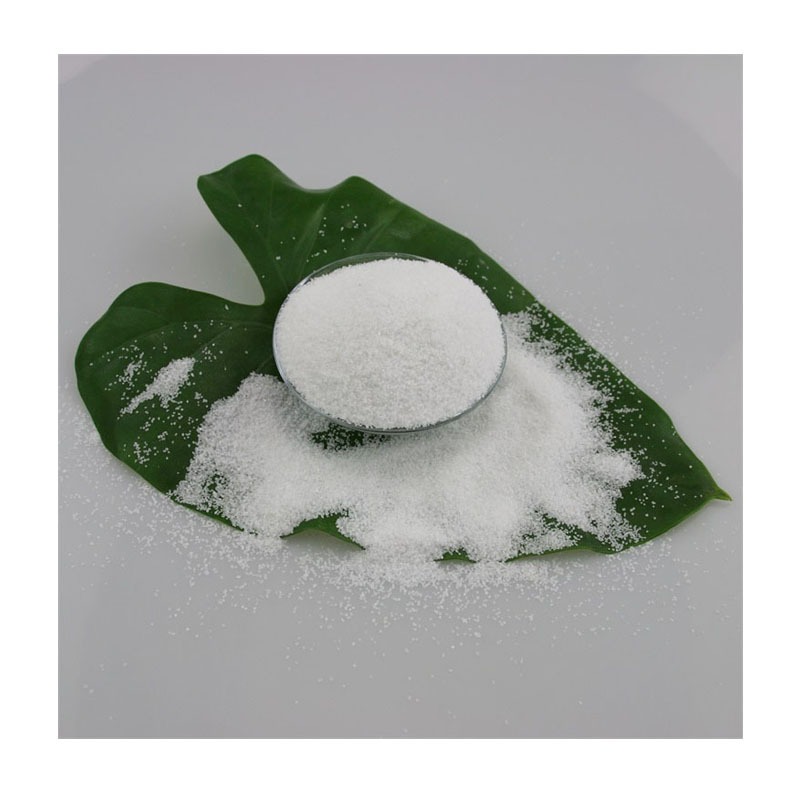 ѩװΰɳɫ쾰ɳӣʥ/ѩⳡ