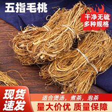 �V���R����ָë�Ҹ�؛�o�����Ҝ��������l��NҎ����l�a��ֱ�l