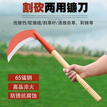 ȫ䓿��65�i䓸�ݿ���ľ�ѿ������Ұ�I������~砵��ո�󹴵�
