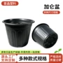 加厚侧孔加仑种植加仑盆