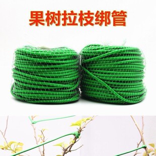 ������֦���ܹ��@��֦�̶������K���������Gɫ���zܛ���p�@�K