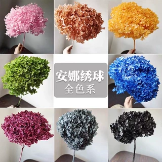 永生花绣球干花花束单枝安娜绣球批发diy配材花材婚庆室内装饰