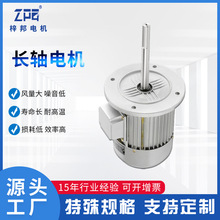 非标纯铜线三相异步变频电机220v不锈钢长轴黑蒜发酵机电动机