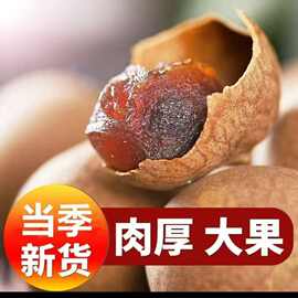 当季新货桂圆干产地直发特级大果源头工厂一手货源多品批发