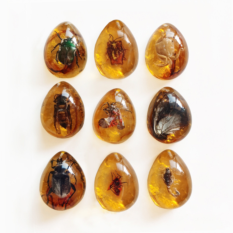 大号水滴形标本昆虫琥珀