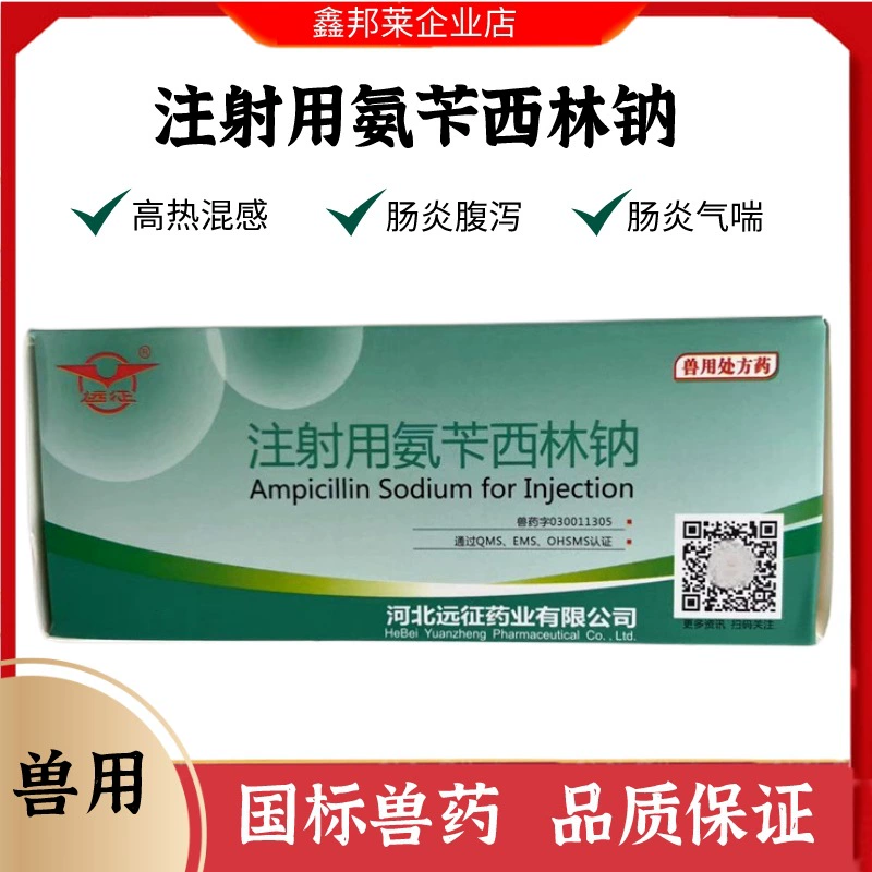 Ампициллин натрия для инъекций для ветеринарного применения свиней, крупного рогатого скота, овец, курица, утка, гусь, собака и кошка дыхательных тракта желтый и белый Scour холодный кашель противовоспалительное