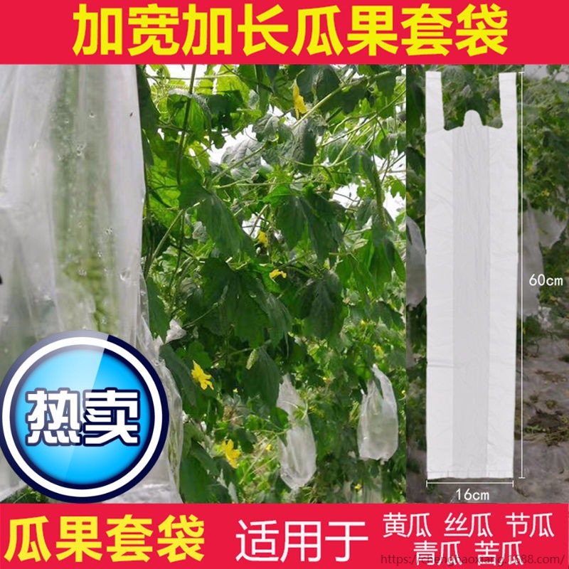 水果專用套袋塑料袋絲瓜瓜苦瓜防蟲鳥保護水果套果套袋