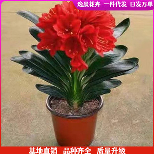 ��Ʒ���]�m���m�����m���ļ�����ֲ���m����S��