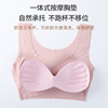 Summer silk sexy sports underwear, breast tightener, push up T-shirt