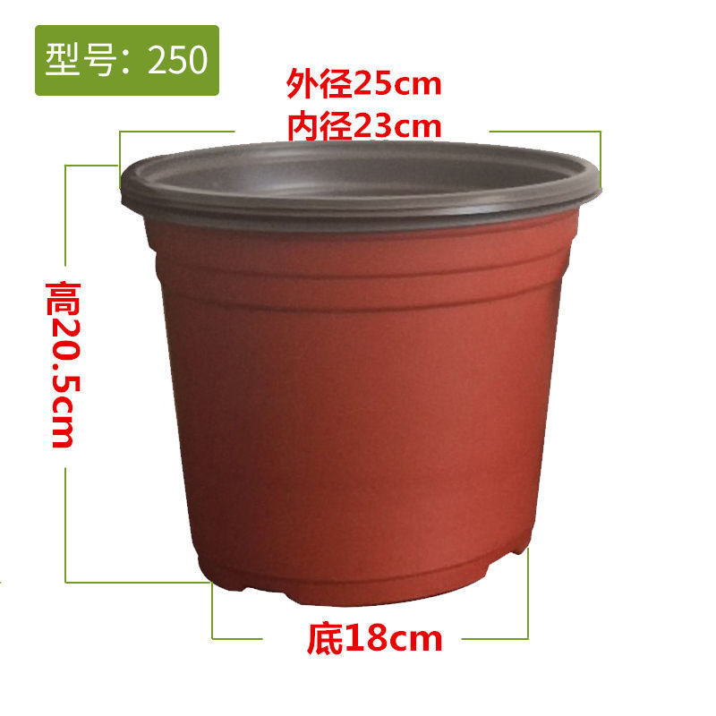 79a825a1-a4be-4867-b686-858bb3749d72.jpe