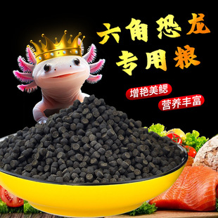 Axolotl Hexagonal Dinosaur Fish Feed Hexagonal Dragon High Protein Square Sinking Bottom Fish Food Pet Feed