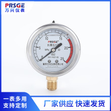 厂家供应压力表 防爆耐震压力表  径向YN60冲油抗震压力表