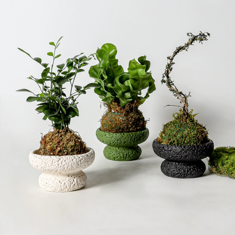 Red Elf Pineapple Fun Bonsai Moss Ball Tray Flower Pot Living Room Office Desktop Succulent Cactus Pot Plant