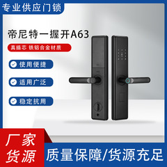 帝尼特指纹锁A63 一握即开指纹锁通用型支持指纹密码刷卡钥匙门铃