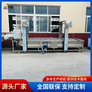 气泡清洗机大型商用连续式酸白菜浸盐清洗线气泡净菜加工设备