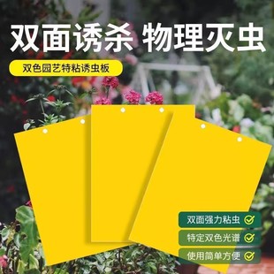 Double-Sided Sticky Insect Trap Board for Greenhouse Vegetable Fields, Insect Prevention Stickers for Fruit Trees, Thrips Trap Board, Small Black Flies Indoor Potted Plants