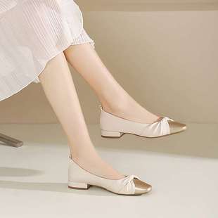 Popular Low-Heeled Pumps 2025 New Spring Skirt Soft-Soled Women's Shoes Fragrant French Mary Jane