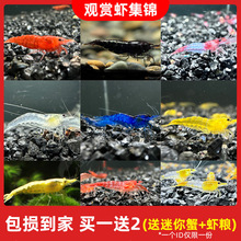 �^�p�r�����r��ˮ�r��ښ��r�坍�~�ͻ���B�Ꭷ�^�p�~����ˮ���r