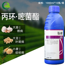 �����_���18.7%���h���׾��������P���~�߲��y�ݲ��rș������