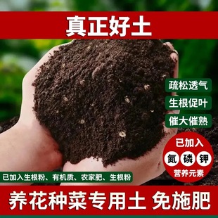 Nutrient soil General-purpose flower-growing vegetables Organic planting soil Loam soil Humus soil Flower-growing nutritive soil Vegetable-growing flower-growing soil