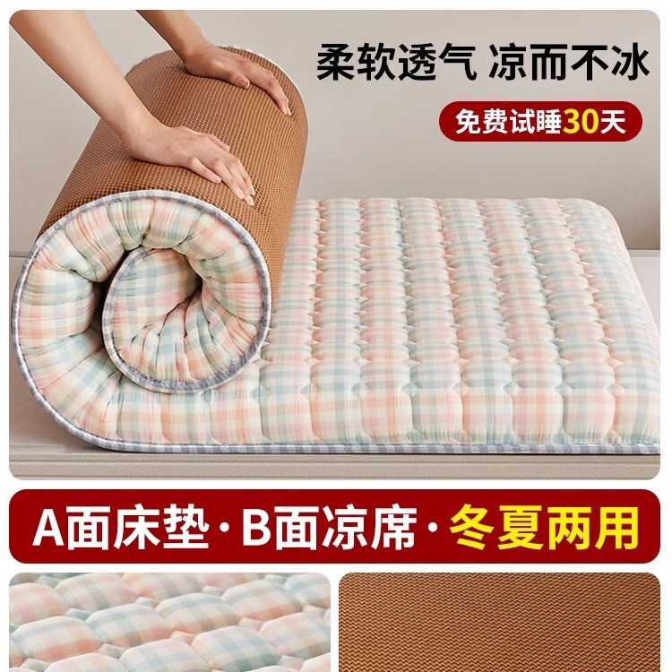 地铺睡垫家用床垫软垫防潮地垫打地铺神器租房专用垫学生宿舍单人|undefined