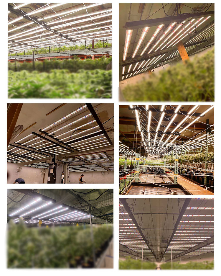 1000W 4X6 1.8米植物灯跨境定制美国认证Led全光谱植物生长补光灯-阿里巴巴