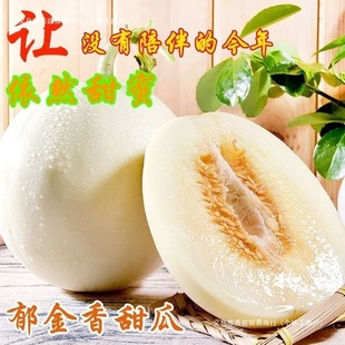 ���������С������r�����۹���ϳ����������ϱ�������