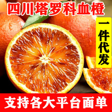 四川血橙塔羅科玫瑰血橙新鮮孕婦水果批發價中華血橙紅心橙子資中