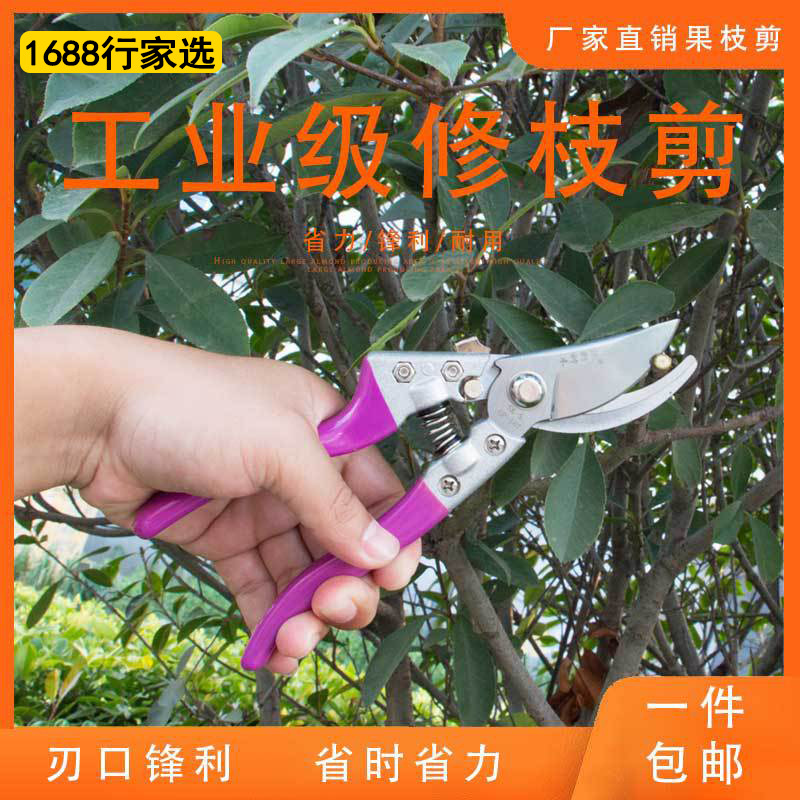 厂家批发园林枝剪多功能防滑省力手动工业级修枝剪花艺特森工具