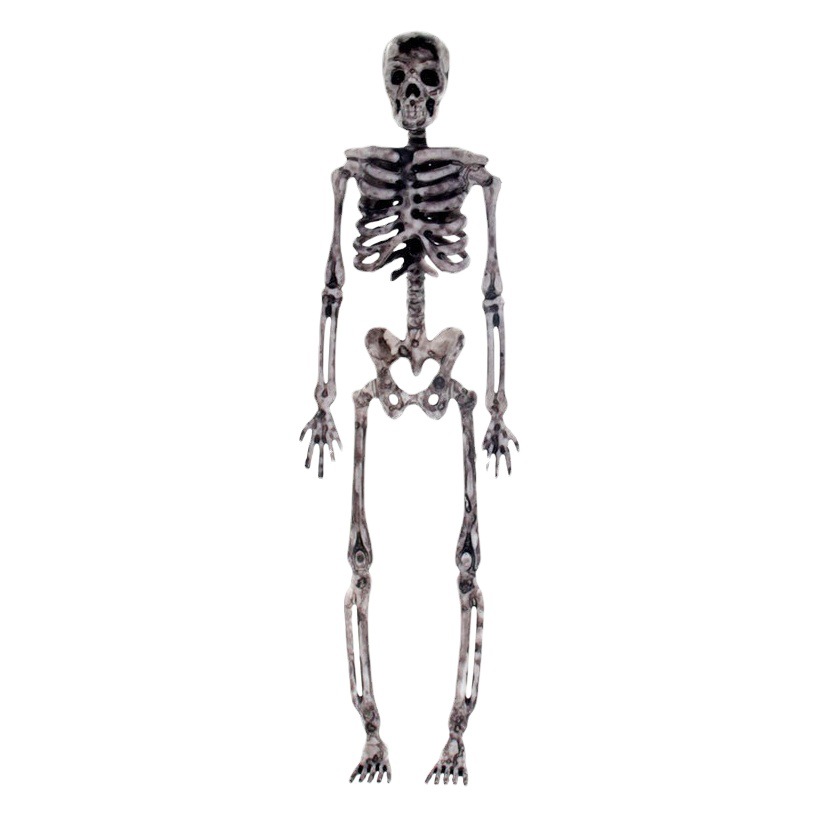 Juguete de Calavera de Halloween Set de 4 piezas de Plástico para Halloween image 1
