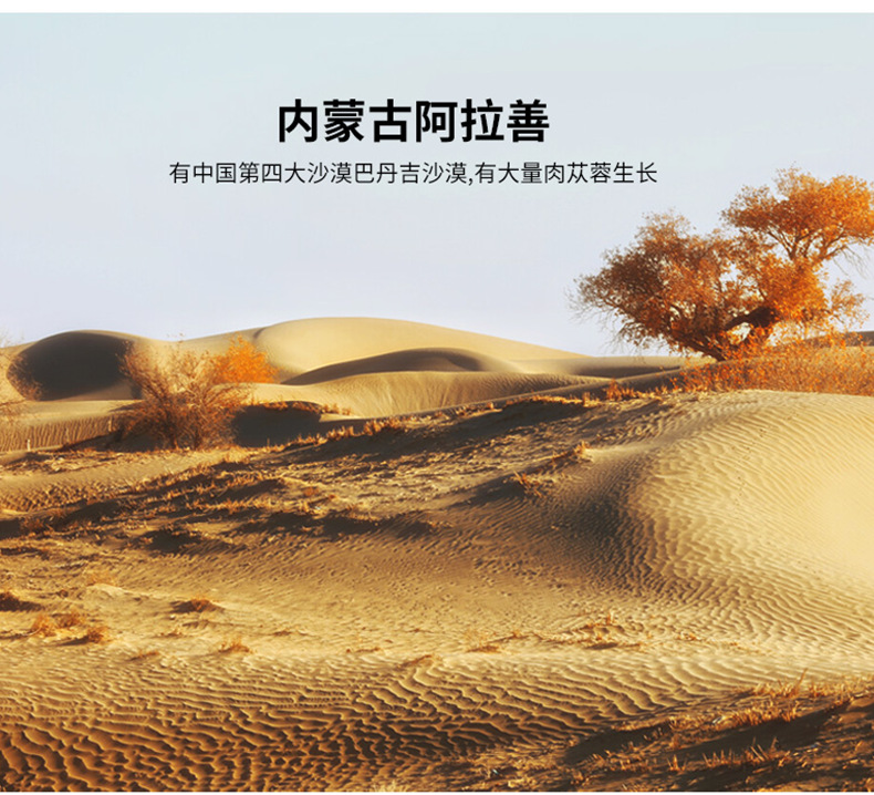 Cistanche Deserticola Rou Cong Rong Oil-Processed Slices 500g TCM Kidney Yang Tonic Herb overview