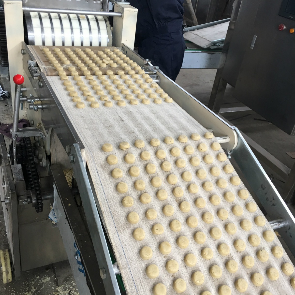 饼干机械 桃酥生产线 饼干生产设备 上海地区厂家 诚若牌