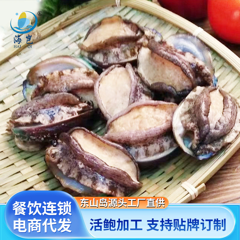 东山岛海捕活冻带壳大鲍鱼400g盒装酒店饭馆海鲜冷冻鲍鱼食材商用